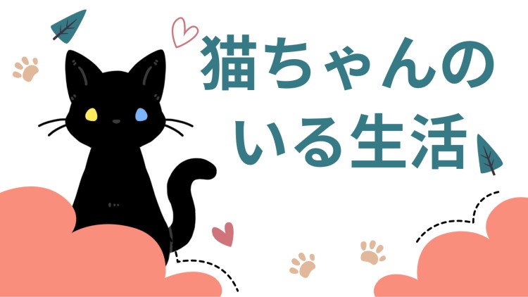 cook 今日なに作ろ？